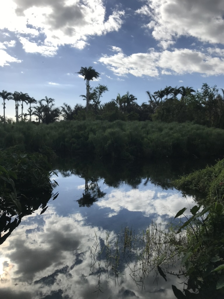 Les 5 meilleures randonnées à l’Île de la Réunion