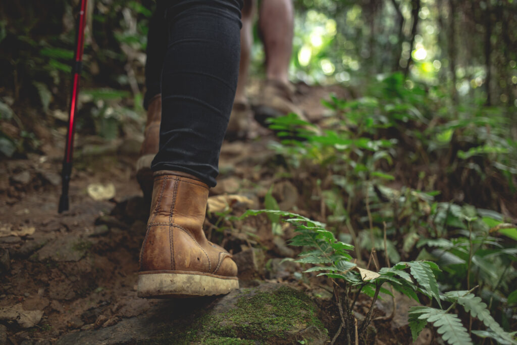 femme qui fait une randonnée dans la foret tropicale 